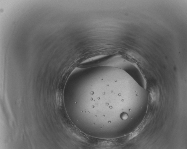 X0000068830180200605121350