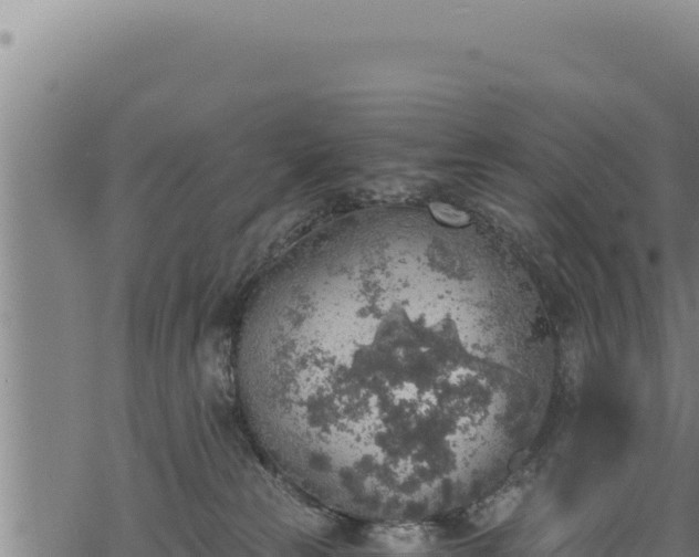 X0000068830181200605121350