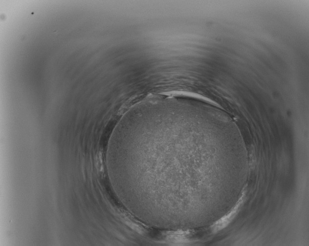 X0000068830182200605121350