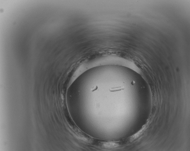 X0000068830183200605121350