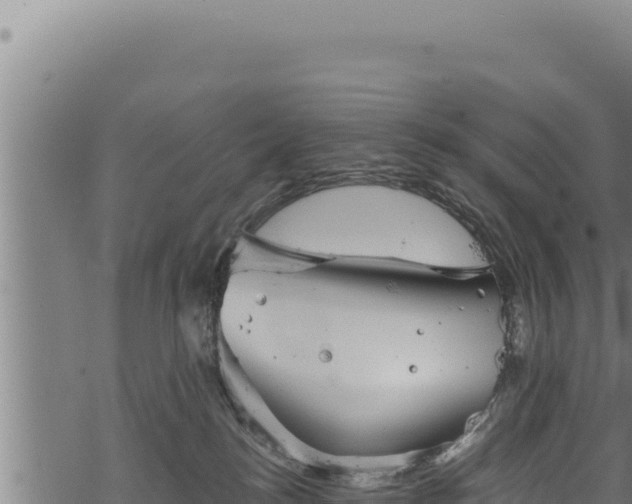 X0000068830184200605121350