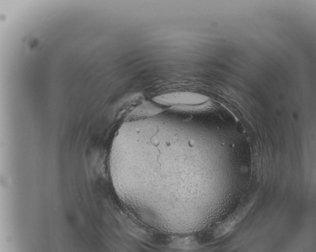 X0000068830185200605121350