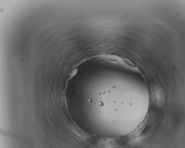 X0000068830186200605121350