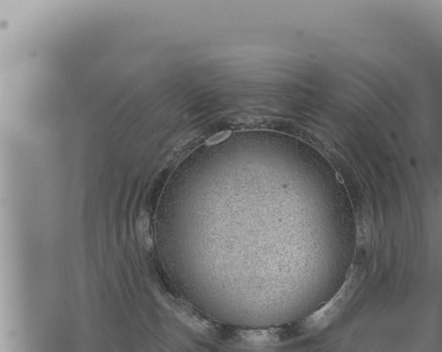 X0000068830187200605121350