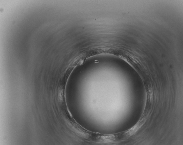 X0000068830188200605121350