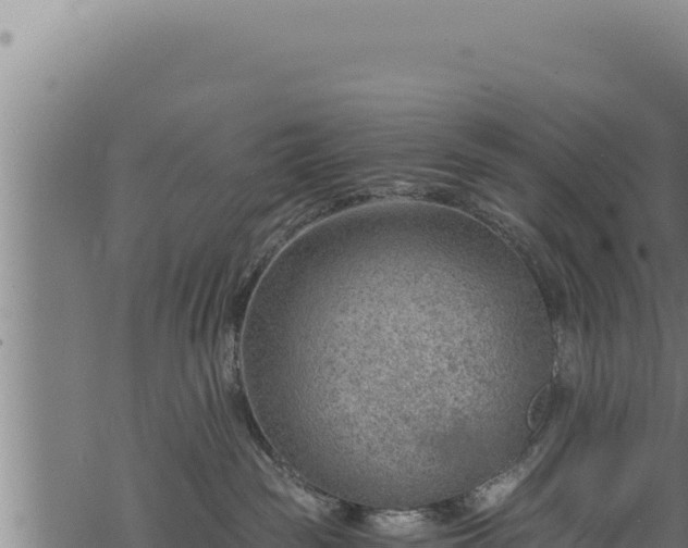 X0000068830189200605121350