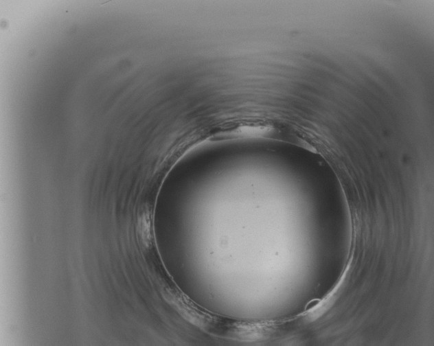 X0000068830190200605121350