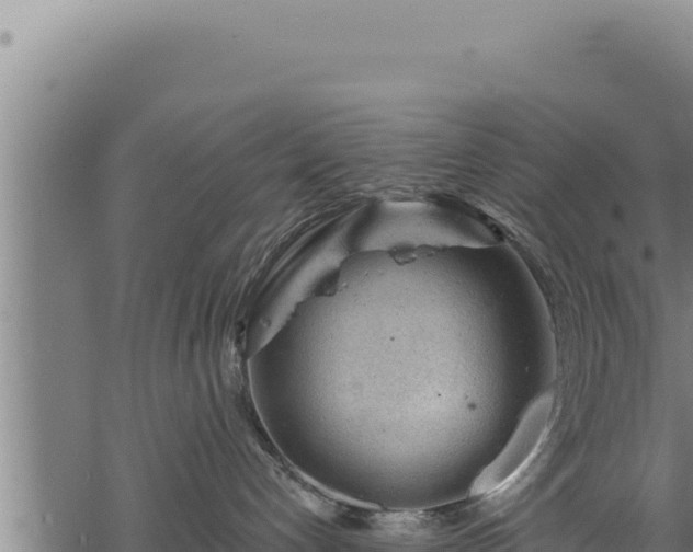 X0000068830192200605121350