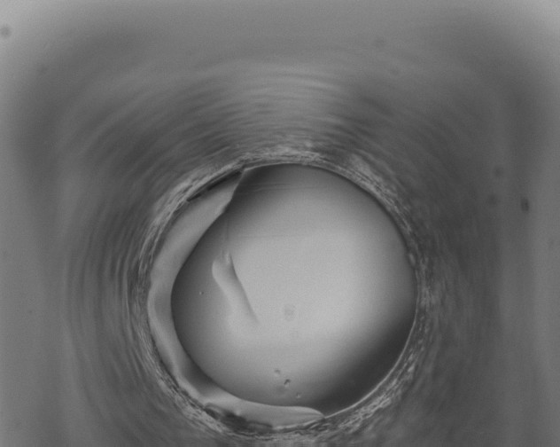 X0000068830193200605121350