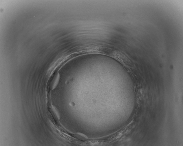 X0000068830194200605121350