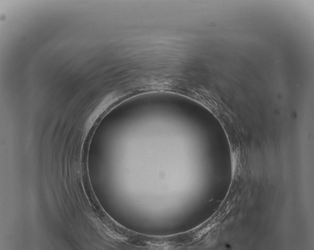 X0000068830195200605121350