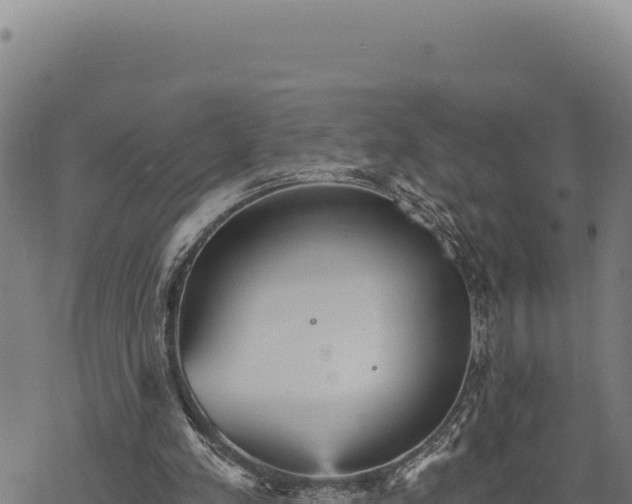 X0000068830197200605121350