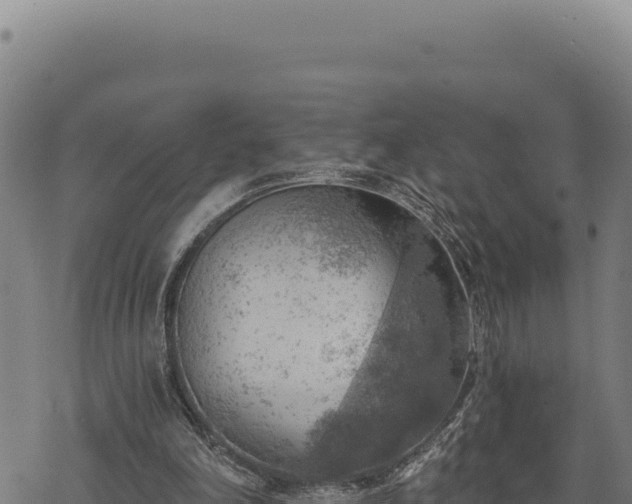 X0000068830198200605121350