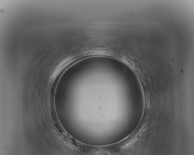 X0000068830199200605121350