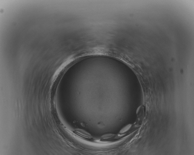 X0000068830200200605121349