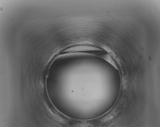 X0000068830201200605121349