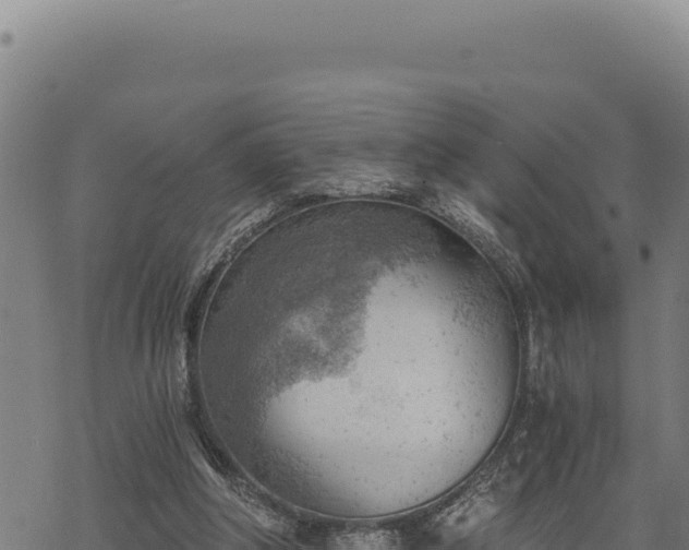 X0000068830202200605121349