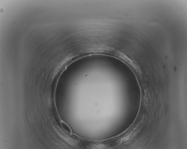 X0000068830203200605121349