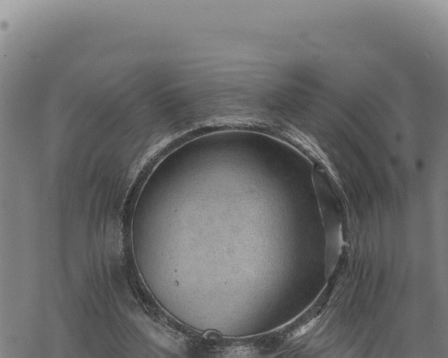 X0000068830204200605121349