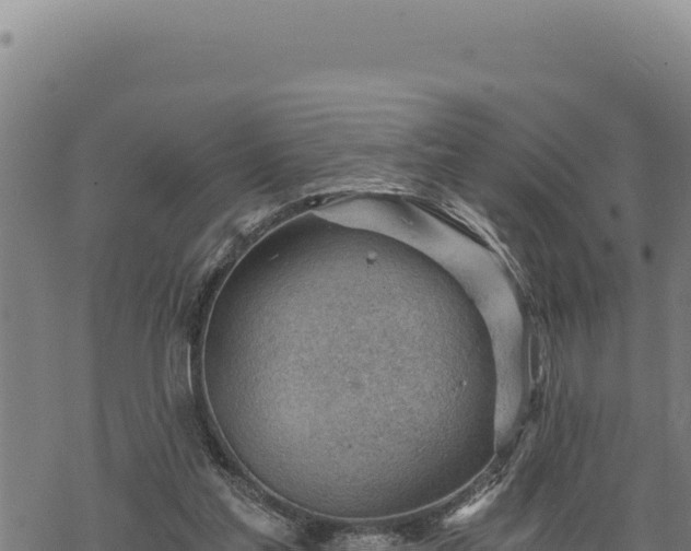 X0000068830205200605121349