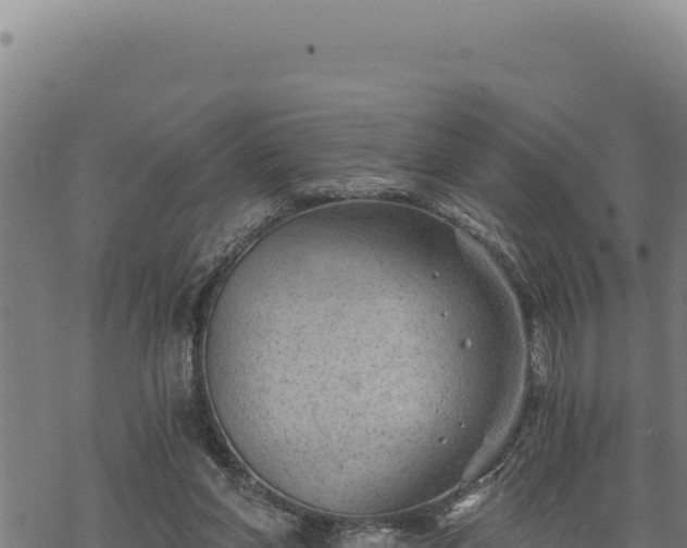 X0000068830206200605121349