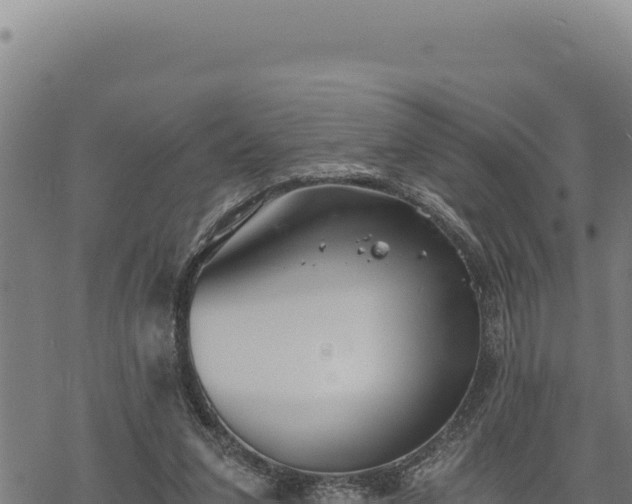 X0000068830207200605121349