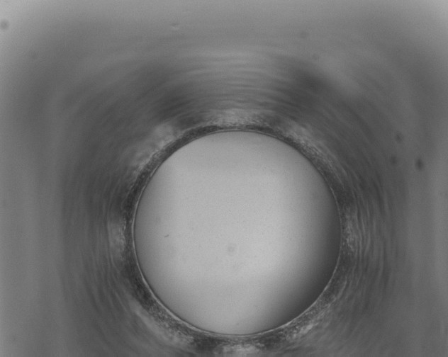 X0000068830208200605121349