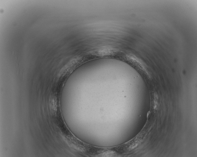 X0000068830210200605121349