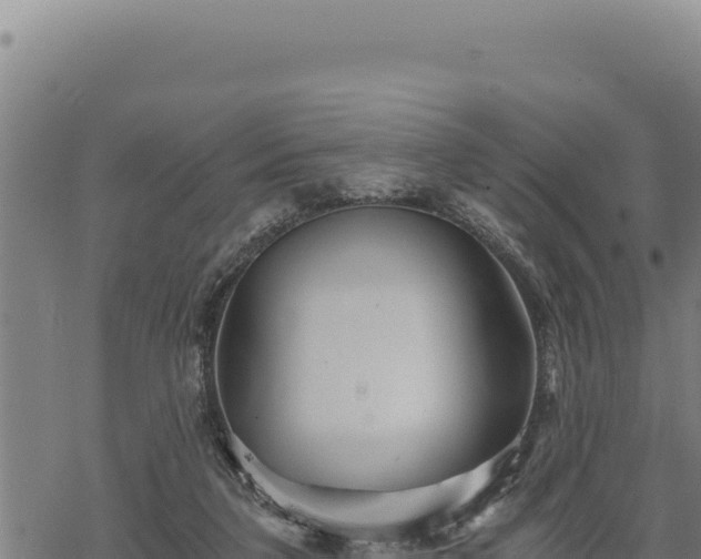 X0000068830211200605121349