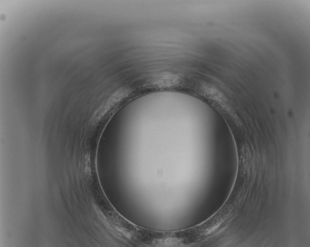 X0000068830212200605121349