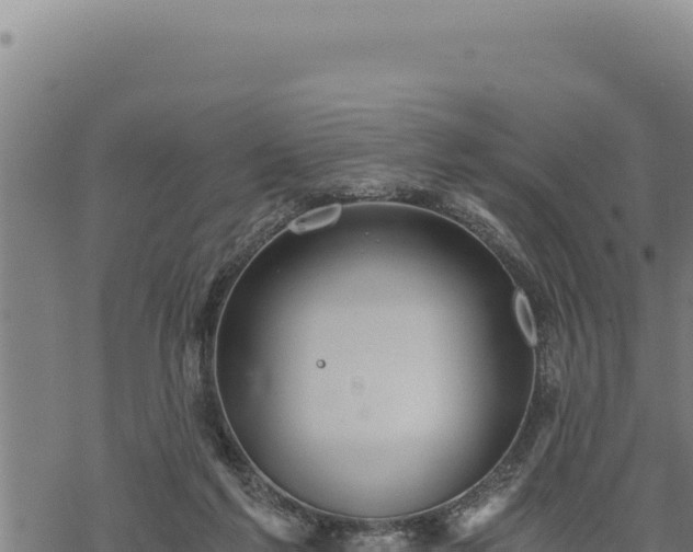 X0000068830213200605121349