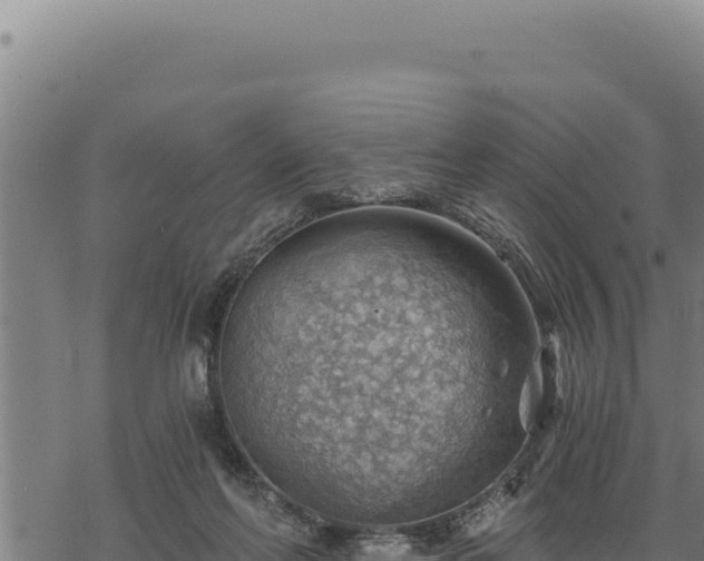 X0000068830214200605121349