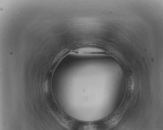 X0000068830216200605121349