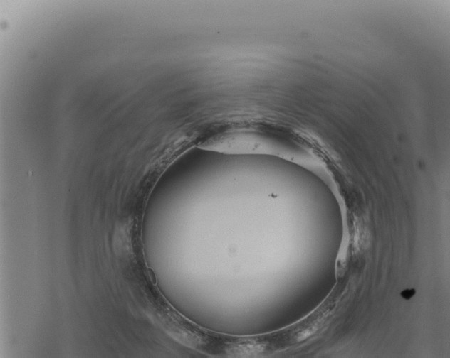 X0000068830217200605121349