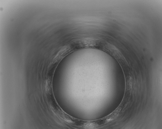 X0000068830218200605121349