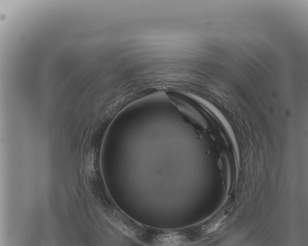 X0000068830219200605121349