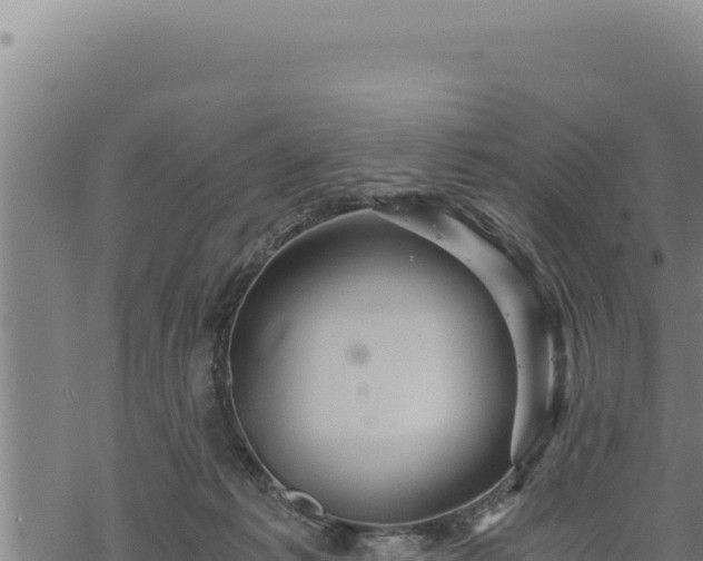 X0000068830221200605121349