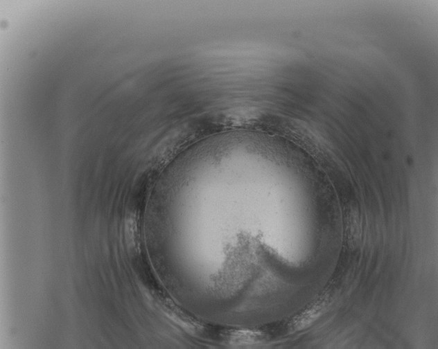 X0000068830222200605121349