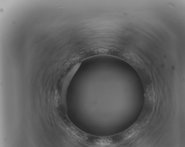 X0000068830223200605121349