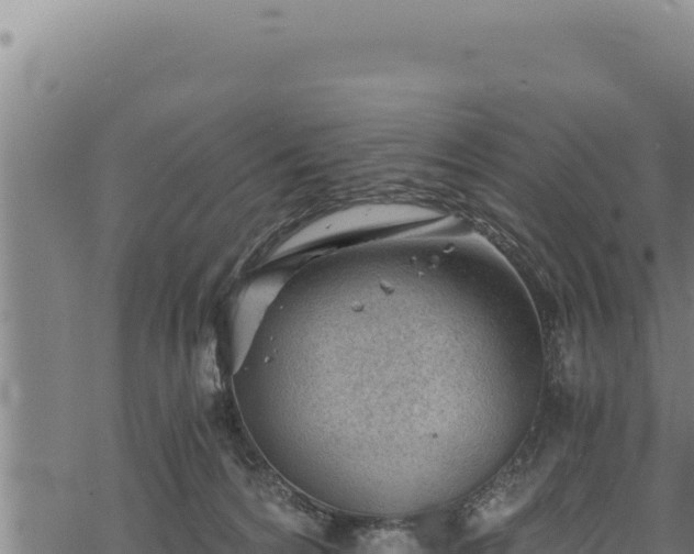 X0000068830224200605121349