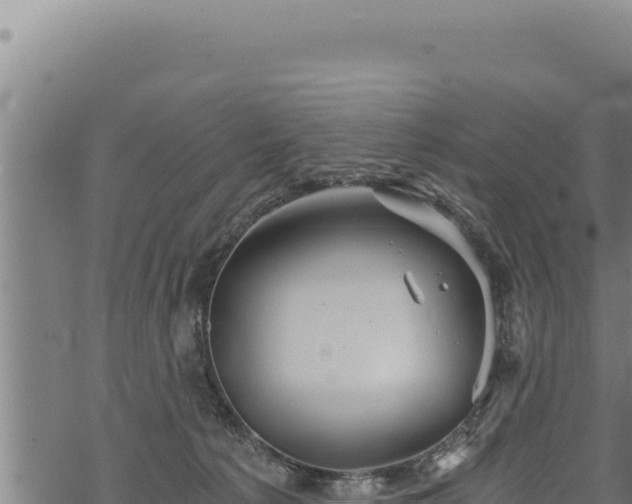 X0000068830225200605121349