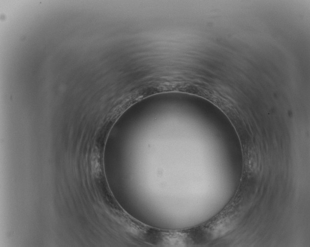 X0000068830226200605121349