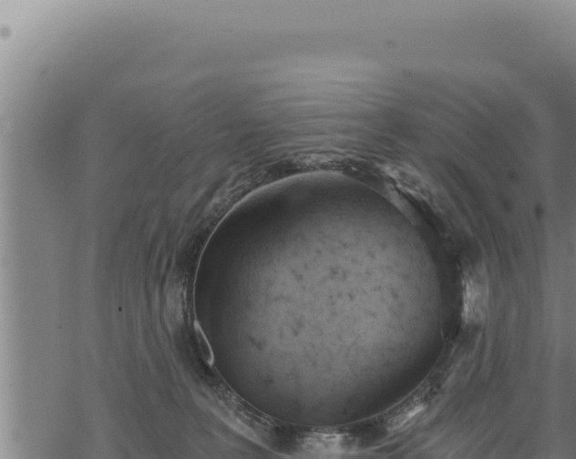 X0000068830227200605121349