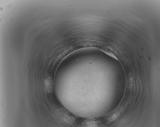 X0000068830228200605121349