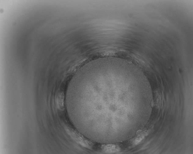 X0000068830230200605121349