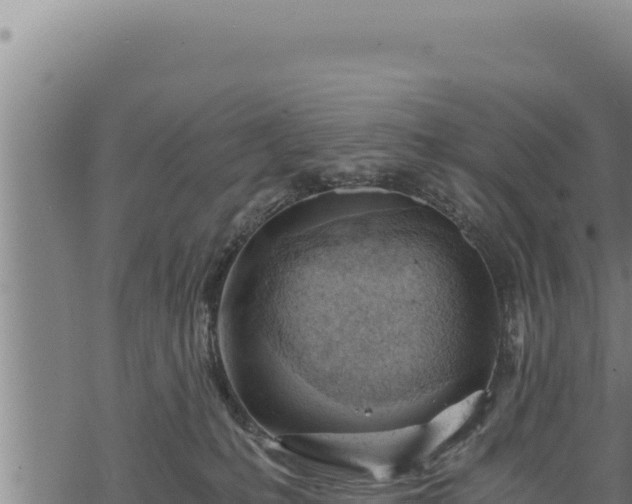 X0000068830231200605121349