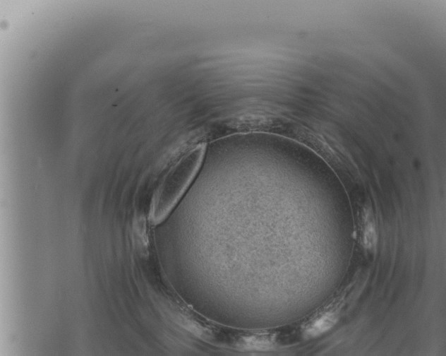 X0000068830232200605121349