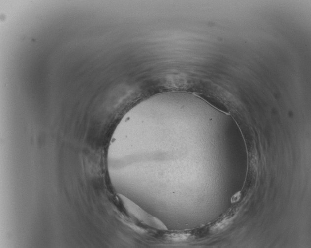 X0000068830233200605121349