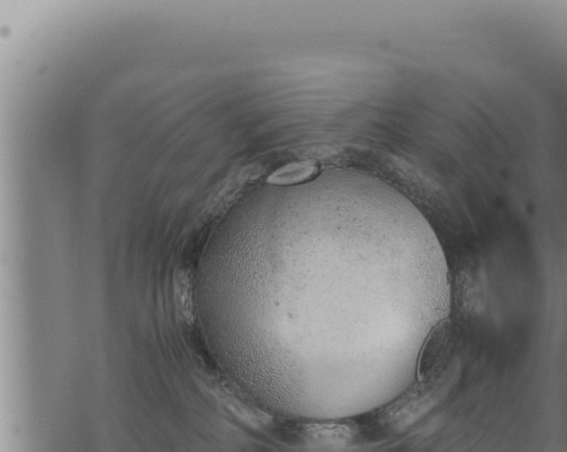 X0000068830234200605121349