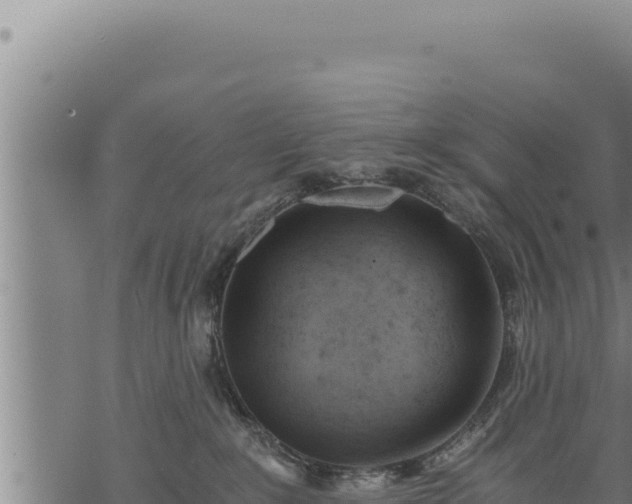 X0000068830235200605121349